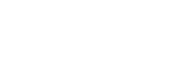 Artemis Synergy GmbH